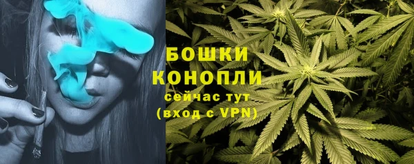 ALPHA PVP Заволжск
