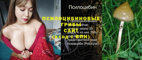 прущая мука Заводоуковск