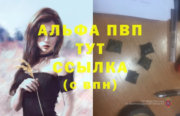 тгк Зеленокумск