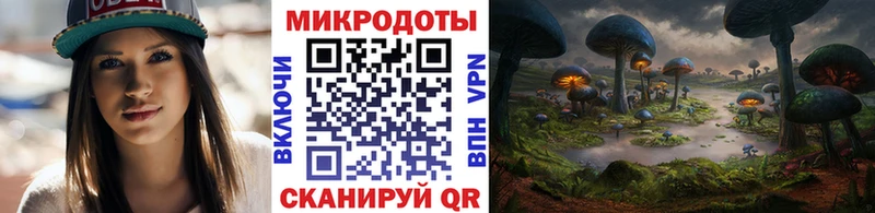 закладки  Цоци-Юрт  Галлюциногенные грибы мицелий 