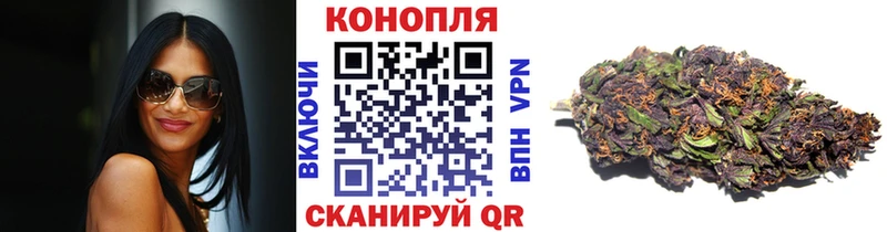Бошки марихуана OG Kush  Цоци-Юрт 